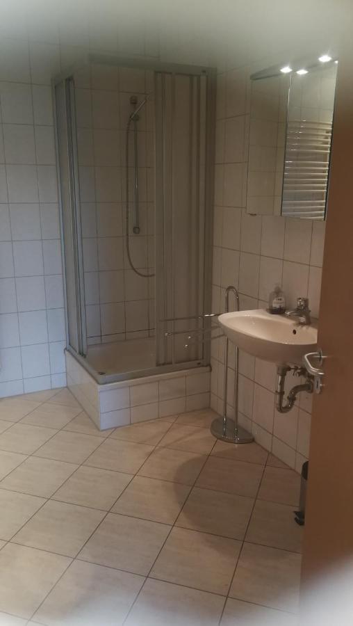 Ferienwohnung Sonnenblick Burkhardtsdorf Экстерьер фото